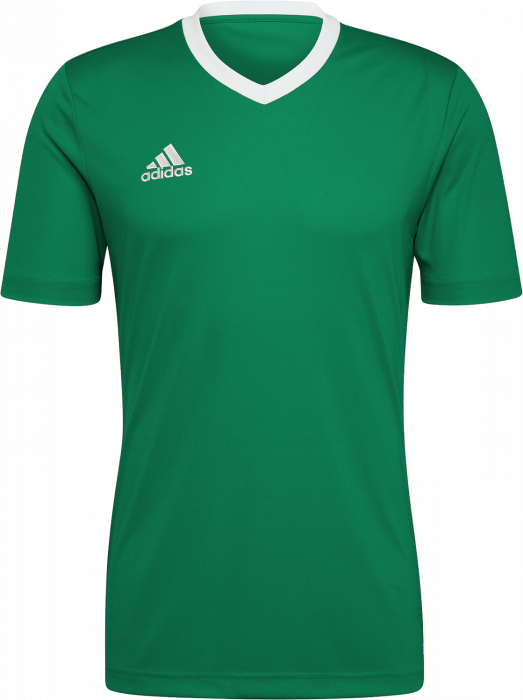 Adidas - Entrada 22 Jersey - T Green & biały